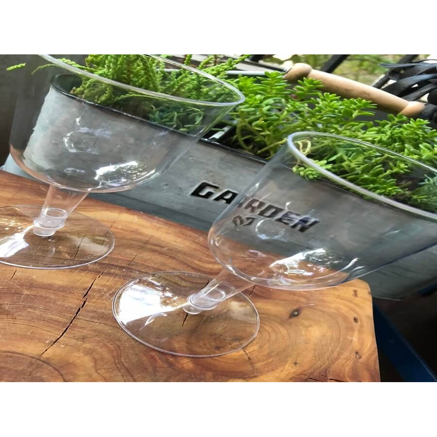 Copa De Vino | Frutaplas | Copas Desechables