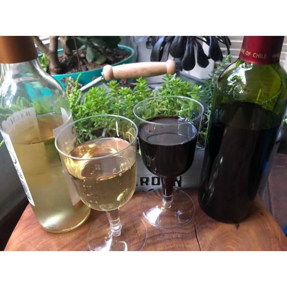 Copa De Vino | Frutaplas | Copas Desechables