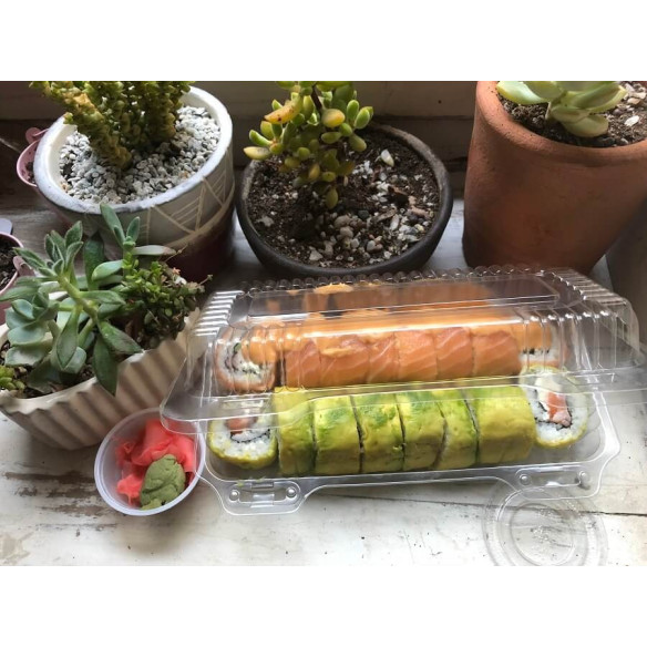 Contenedor Art. 243 | Frutaplas | Envases Plÿsticos