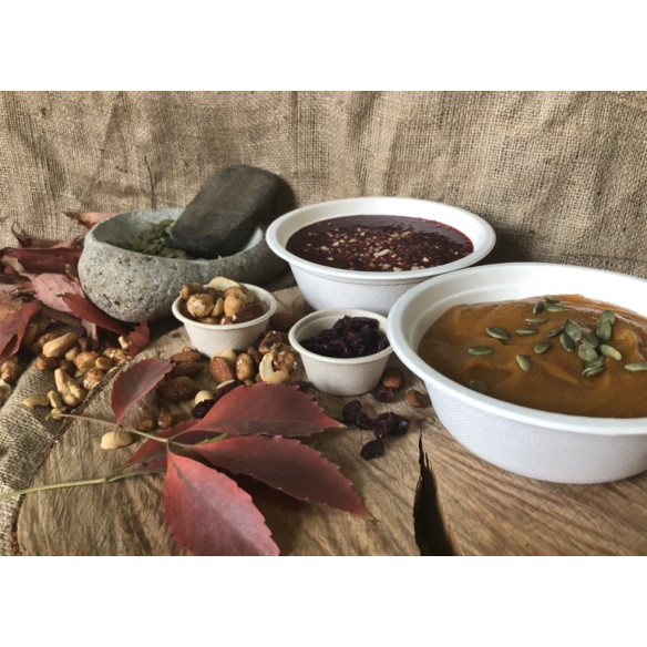 Bowl Biodegradable 500 Cc | Frutaplas| Envases biodegradables