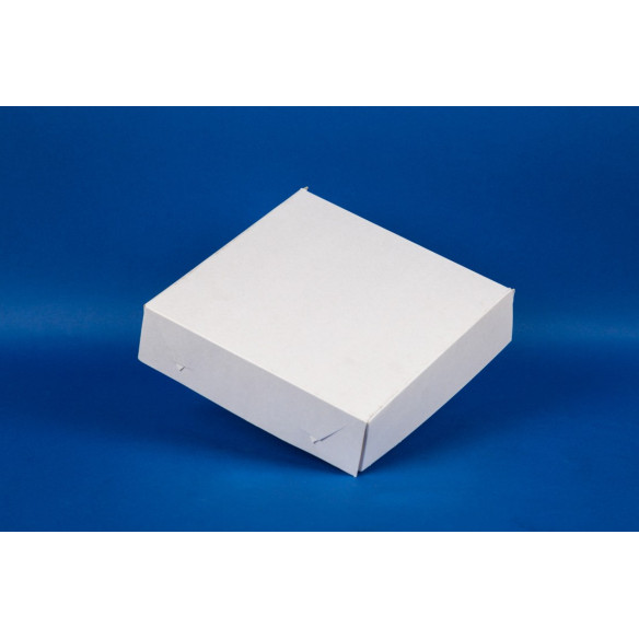 Caja Carton Multiuso Mediana | Envases para Delivery| Frutaplas