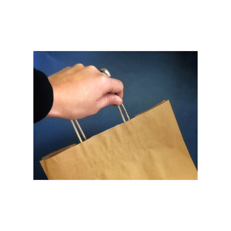 Bolsa De Papel con Manilla | Frutaplas | Papel Y Carton