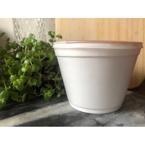 Pote Trmico 480 Cc | Frutaplas| Envases Trmicos