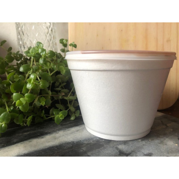 Pote Trmico 480 Cc | Frutaplas| Envases Trmicos