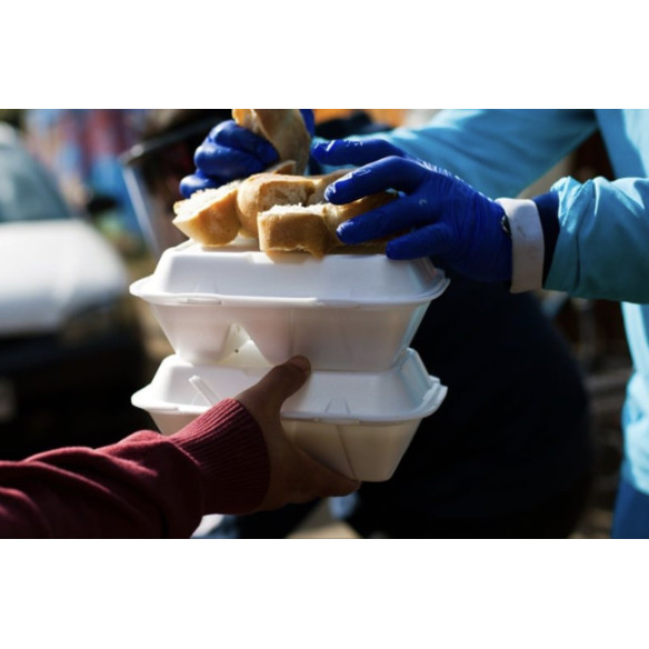 Bandeja Termica Colacion 2 divisiones | Frutaplas | Envase Termico