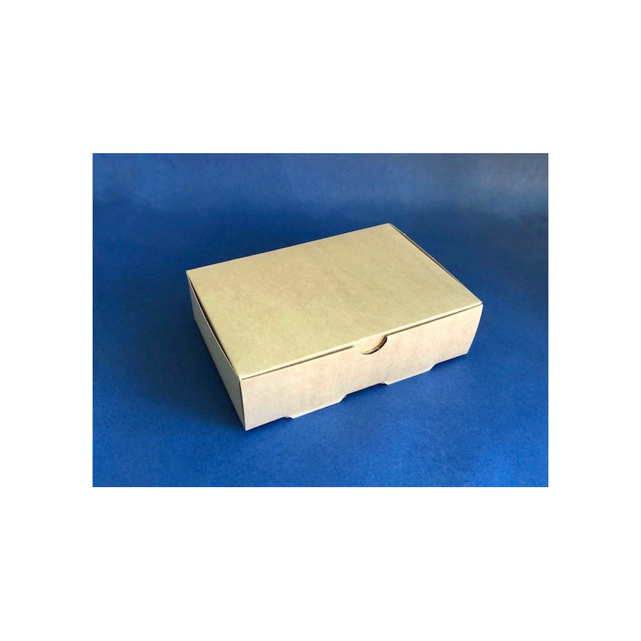 Caja Delivery Box M | Envases Desechables | Frutaplas