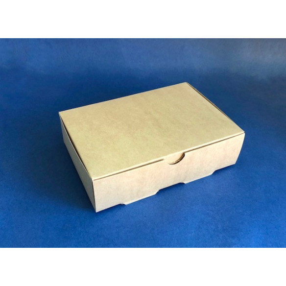 Caja Delivery Box M | Envases Desechables | Frutaplas