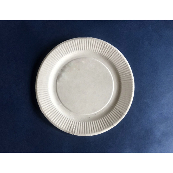 Plato De Cart¢n No.2 | Frutaplas | Platos de Cart¢n