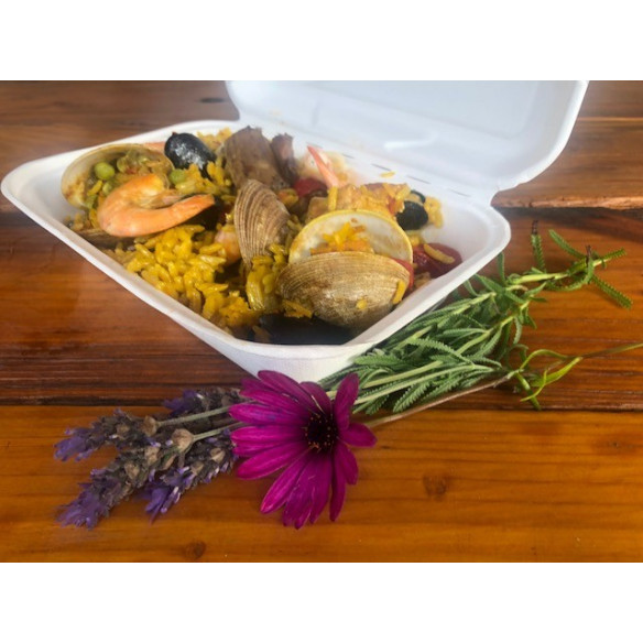 Porta Comida Compostable sin Division  | Frutaplas| Envases biodegradables