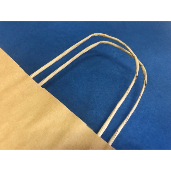 Bolsa De Papel con Manilla | Frutaplas | Papel Y Carton