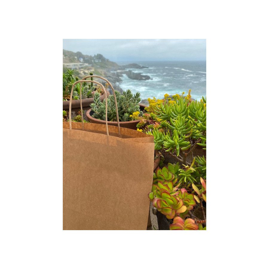 Bolsa De Papel Kraft | Frutaplas | Papel Y Cart¢n