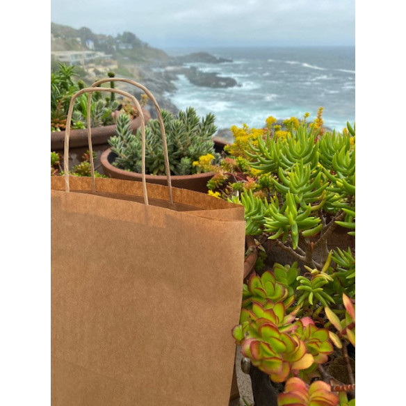 Bolsa De Papel Kraft | Frutaplas | Papel Y Cart¢n