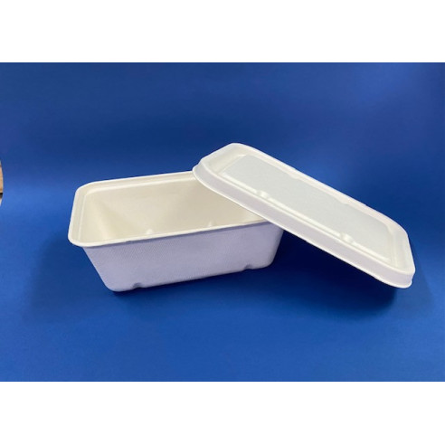 Envase ecologico / envase rectangular / empaque compostable