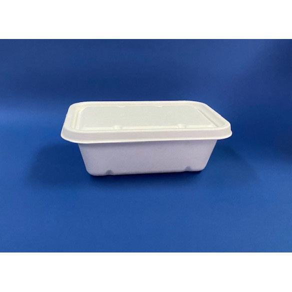 envase ecologico / envase rectangular / empaque compostable