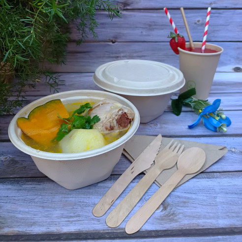 bowls / bowl con tapa/ bagazo / bowl compostable