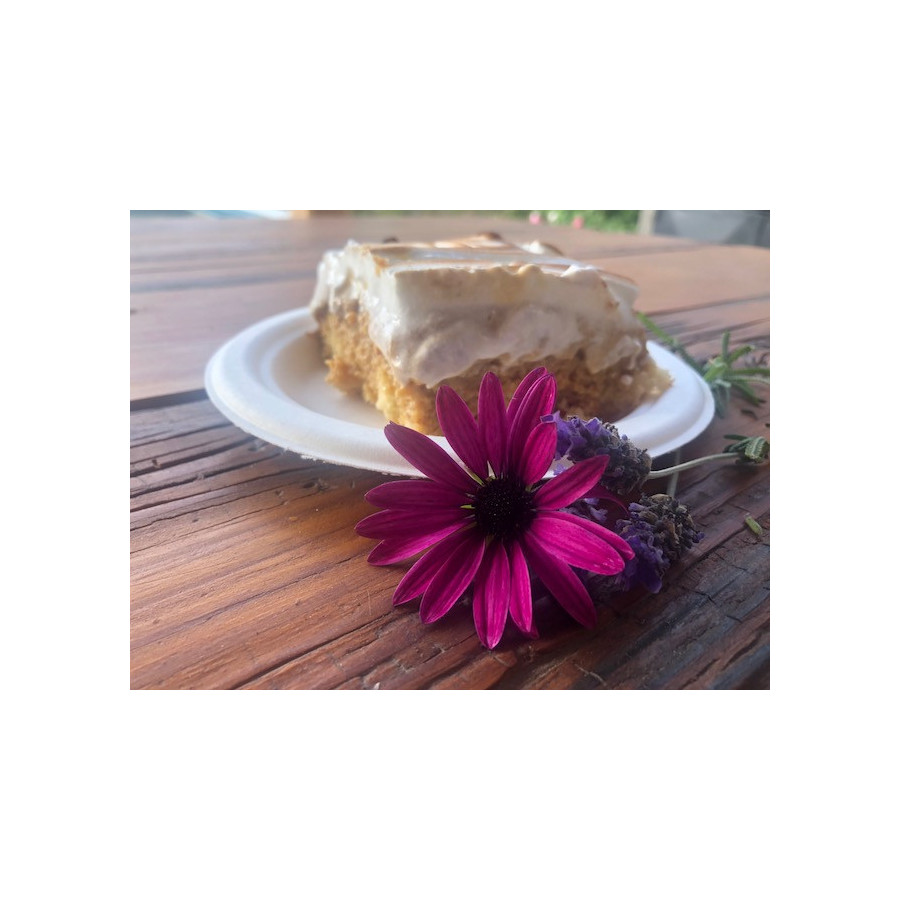 Plato Biodegradable 15 cms| Frutaplas| Envases biodegradables