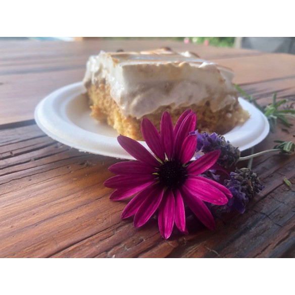 Plato Biodegradable 15 cms| Frutaplas| Envases biodegradables