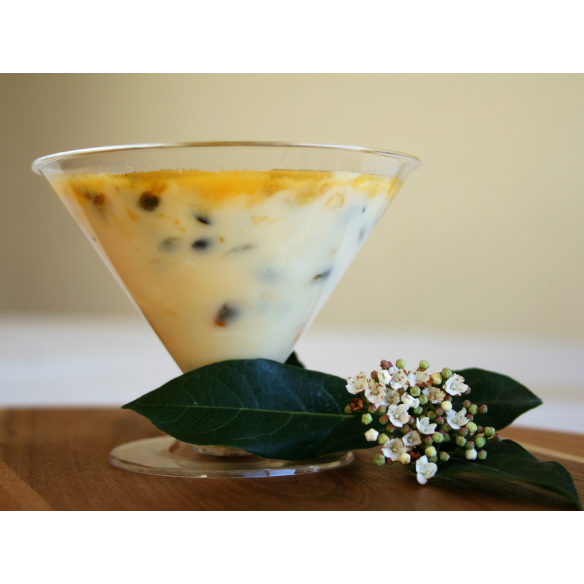 Copa Coctel | Frutaplas | Copas Desechables