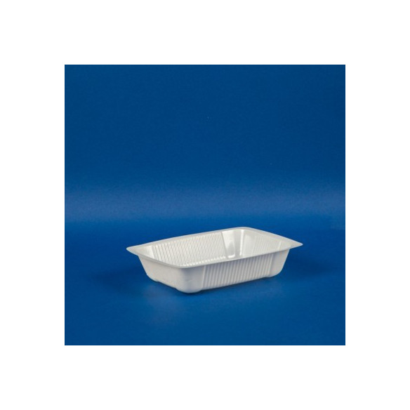 Bandeja 120x90x20 Mm. | Frutaplas| Bandejas Plÿsticas