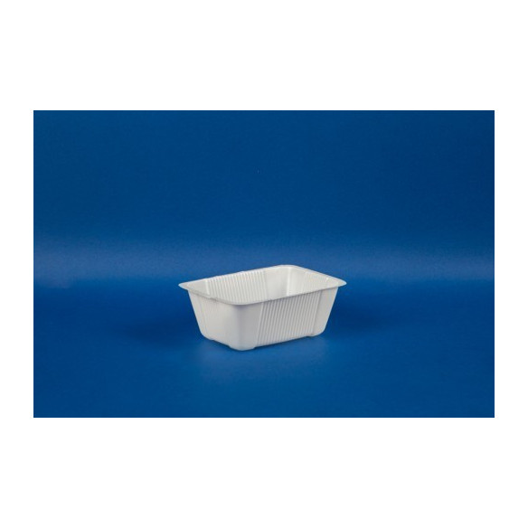 Bandeja 120x90x40 Mm. | Frutaplas| Bandejas Plÿsticas